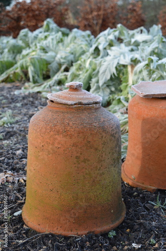 Rhubarb forcing pots