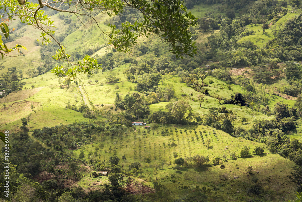 landscape of farm in colombia.