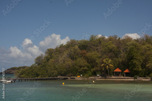 Tropical landscape Martinique