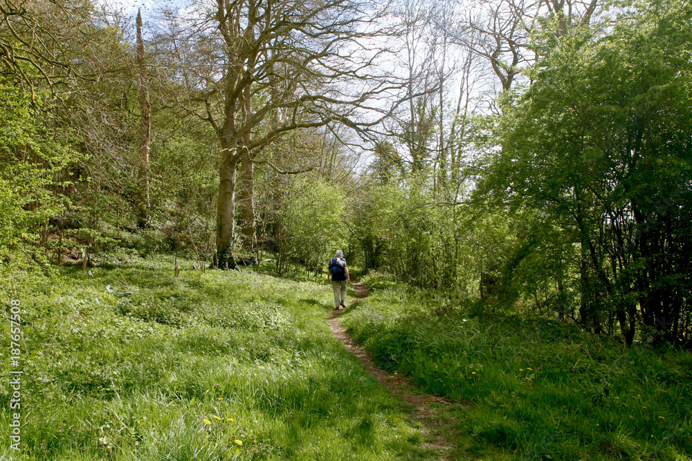 River Waveney, Thorpe Abbotts and Homersfield