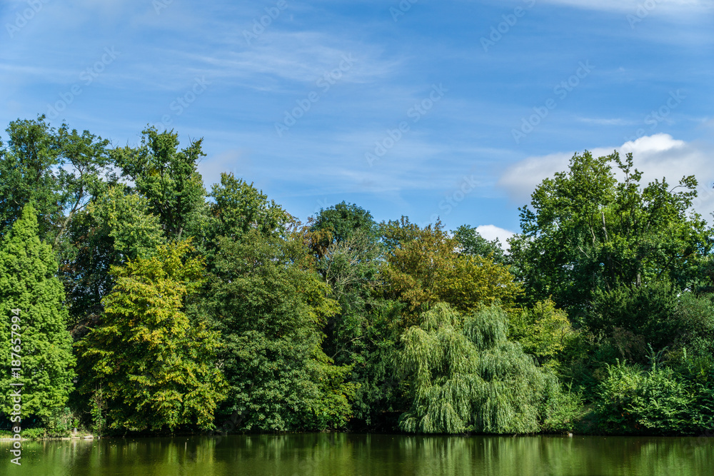 Fototapeta premium Laandscape on the lake with threes and sky