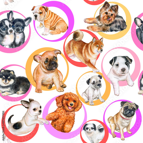 Fototapeta Naklejka Na Ścianę i Meble -  Seamless pattern with puppies. Wallpapers with dogs. Watercolor. Illustration.