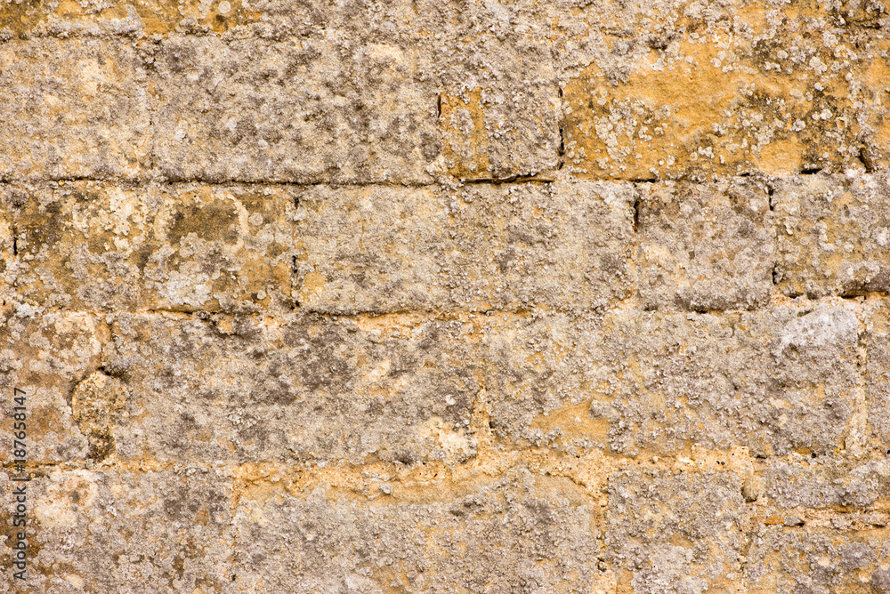 A background with the texture of a wall