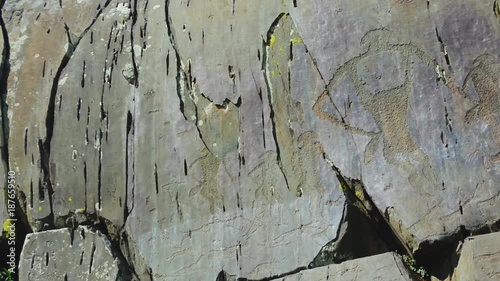 ancient petroglyphs found on the site Kalbak-Tash in the Altai Mountains