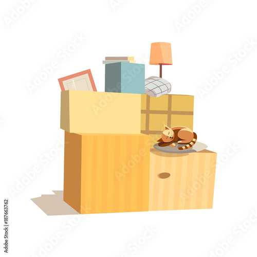 Home change icon. Package to move to new house, moving cardboard boxes, domestic animal pussy cat. Relocation to apartment, paper container delivery packing. Comic fancy cartoon. Vector illustration