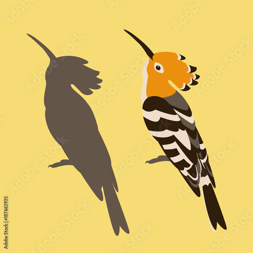 hoopoe   vector illustration flat style  silhouette black profile side
