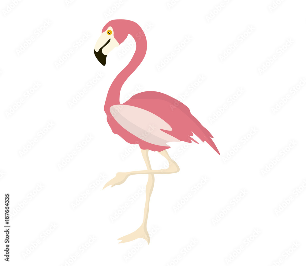 Pink flamingo isolated on white