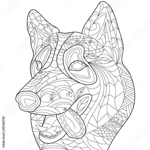 Husky anti stress vector coloring book adult. Dog isolated ornament on white background with doodle and zen tangle elements. Freehand ethnic drawing for tattoo or logo template, decorative piece, page