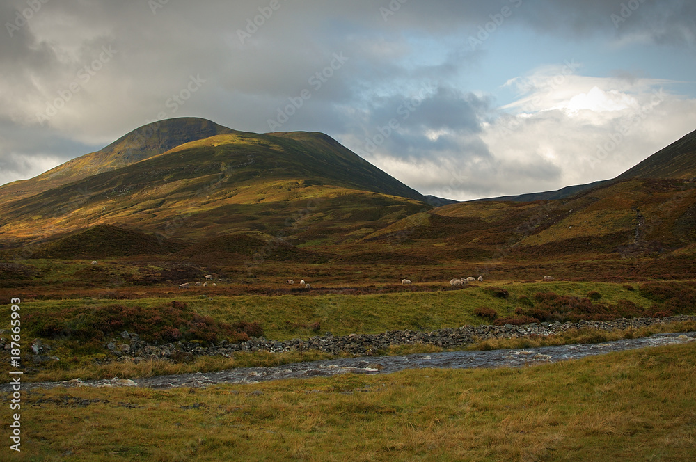 A stream near Dalwhinnie in the highlands of Scotland A stream near Dalwhinnie in the highlands of Scotland