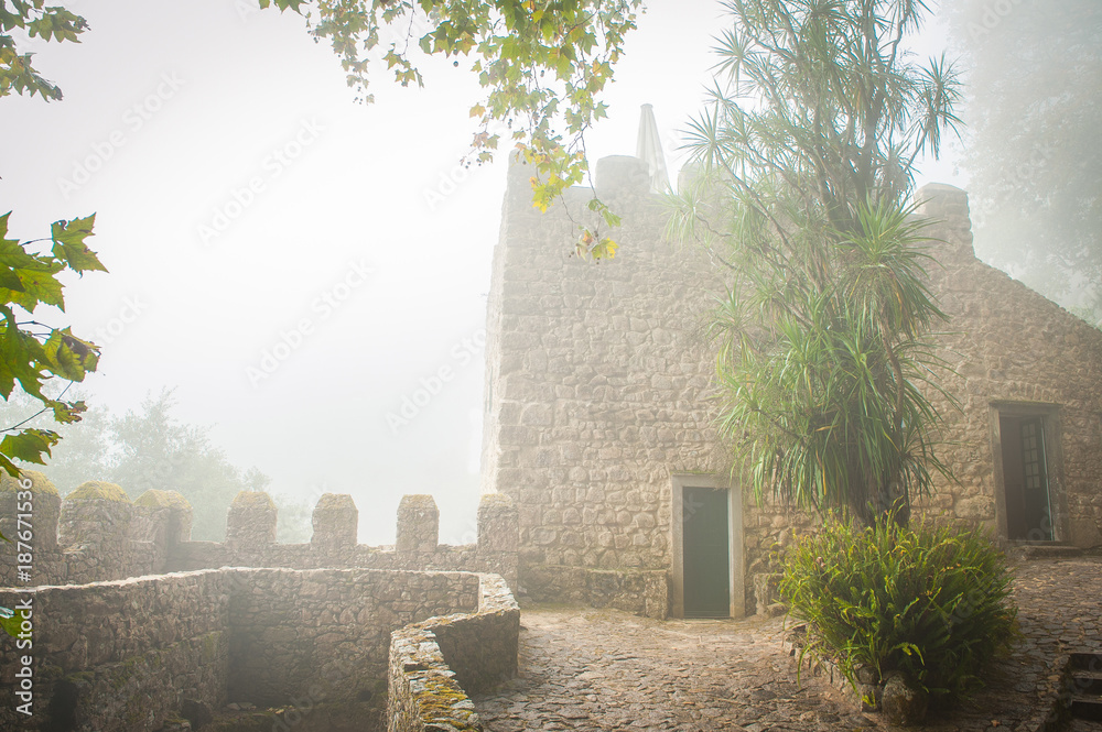 Portugal, Sintra, Hiking moutain path in the fog, forest near Lisbon