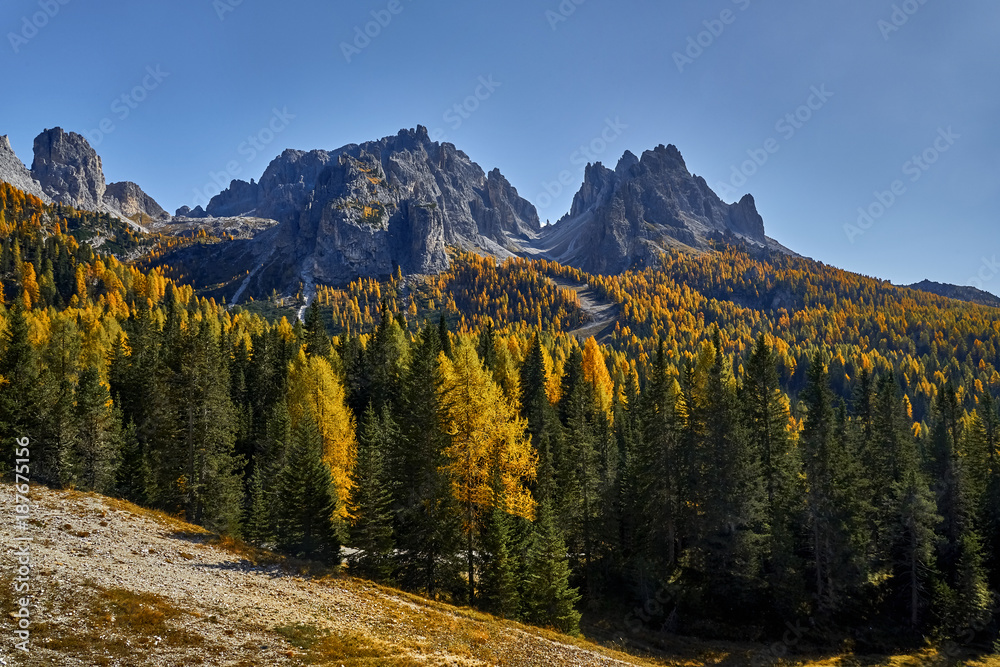 Fototapeta premium Tree, meadow and Monte Lagazuoi
