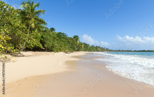 The Caribbean beach   Martinique island.
