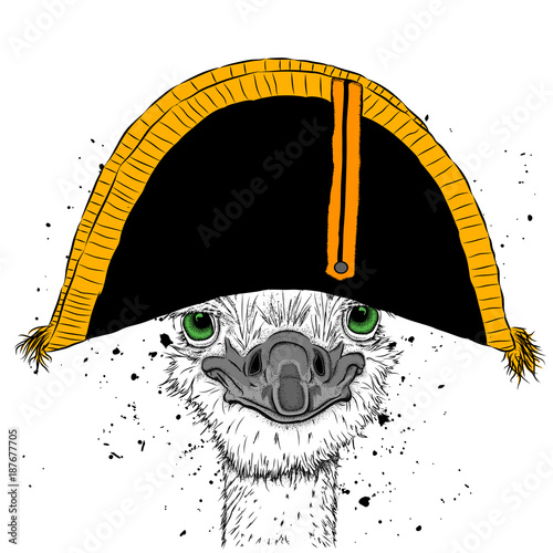 Canvas Print Ostrich in traditional French headdress