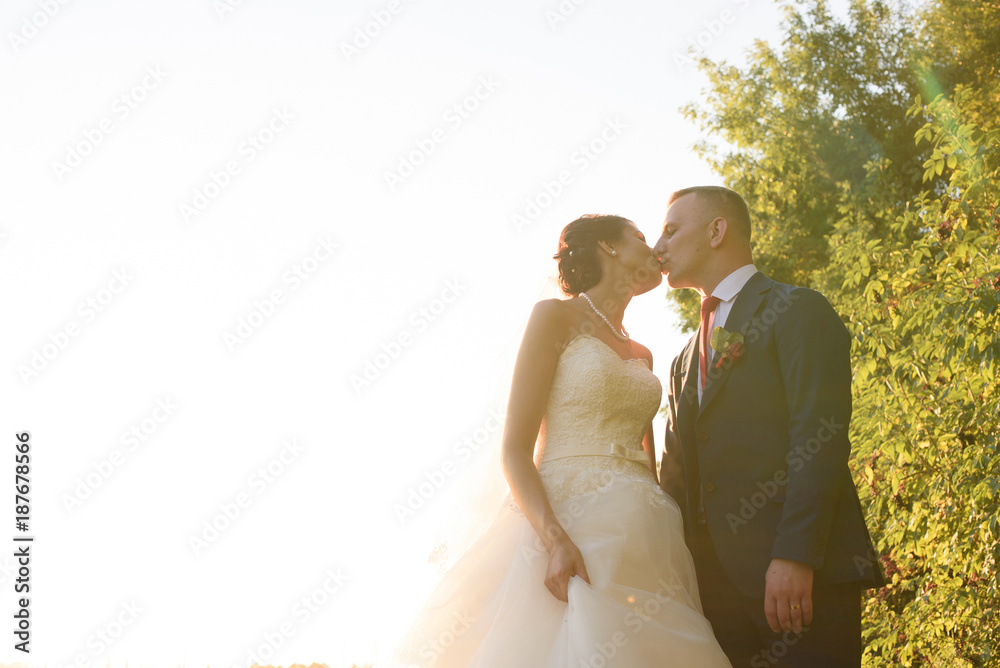 wedding couple on nature walks in the field with wheat. Fabulous rural landscapes wedding couple on nature walks in the field with wheat. Fabulous rural landscapes