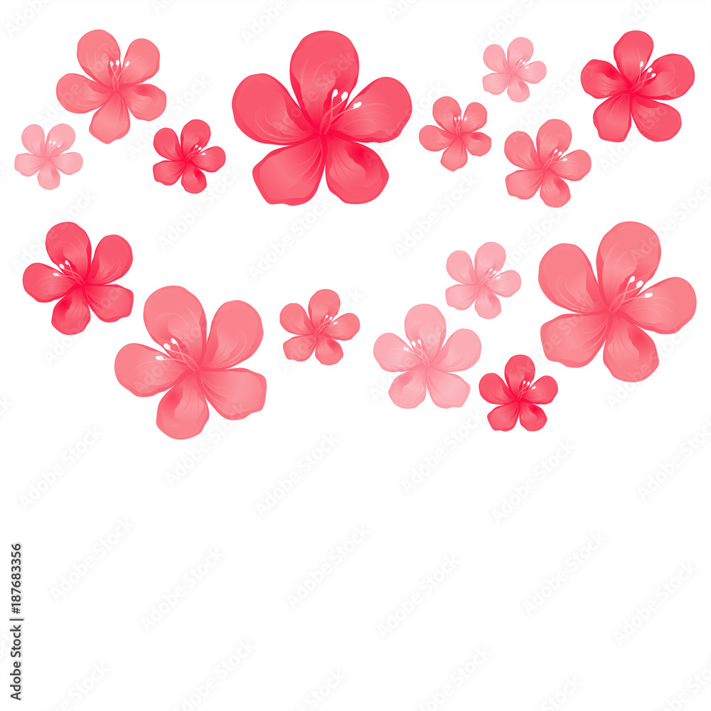 Red Pink flowers isolated on White background. Apple-tree flowers. Cherry blossom. Vector