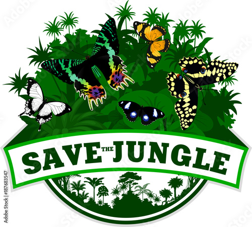 Vector jungle emblem with african butterflies photo