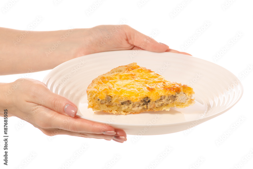 Piece of pie with chicken mushrooms and cheese in plate isolated