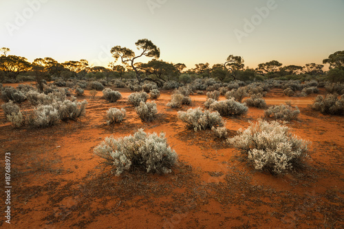 South Australian outback Landscape at sunset Fototapeta
