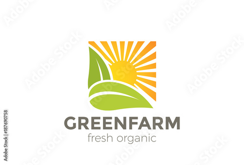 Green Natural Organic Farm Logo vector. Sun Leaves square icon