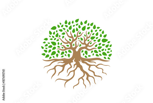 Circle Tree with Roots vector Illustration. Garden icon © Sentavio