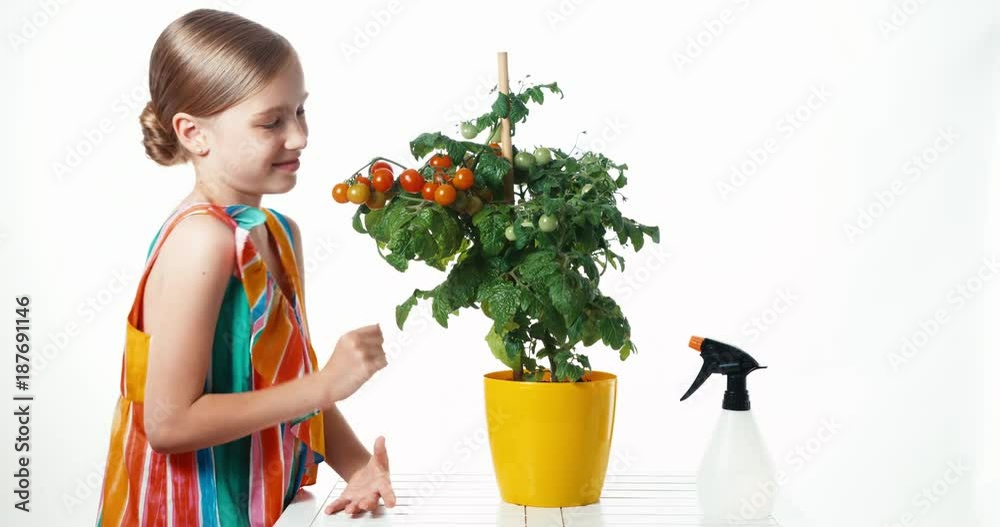Portrait girl 8 aged with cherry tomatoes on white Portrait girl 8 aged with cherry tomatoes on white