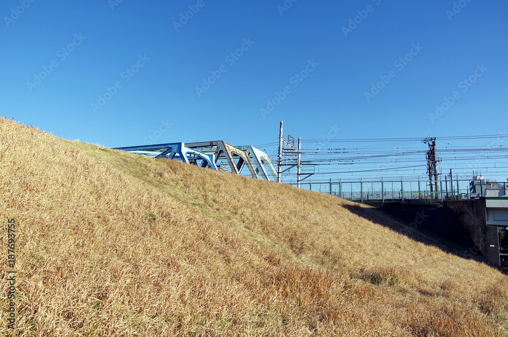 Obraz premium 土手と鉄橋