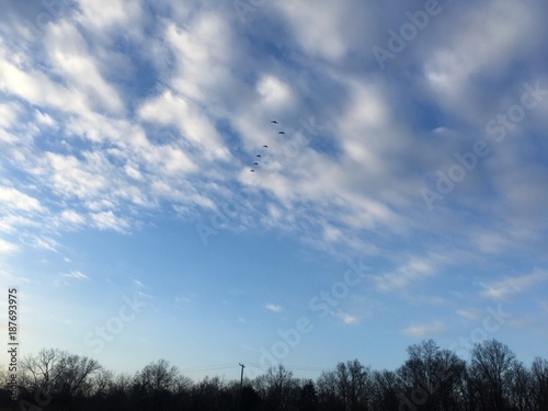 winter sky with clouds and flock of geese