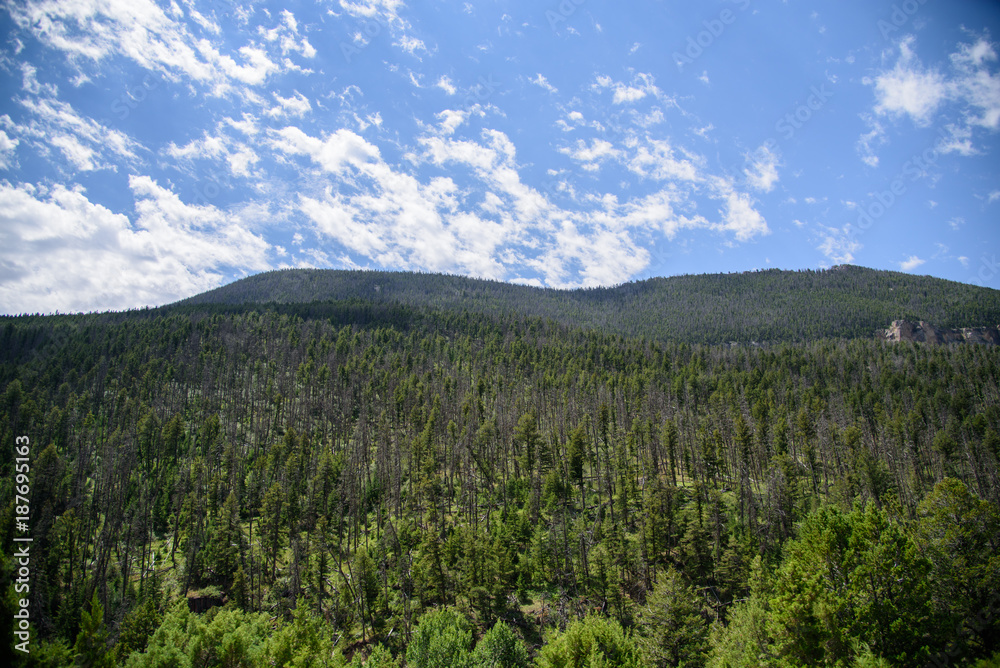 Aerial View of trees and mountain with blue sky