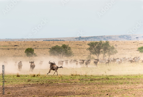 The Great Migration