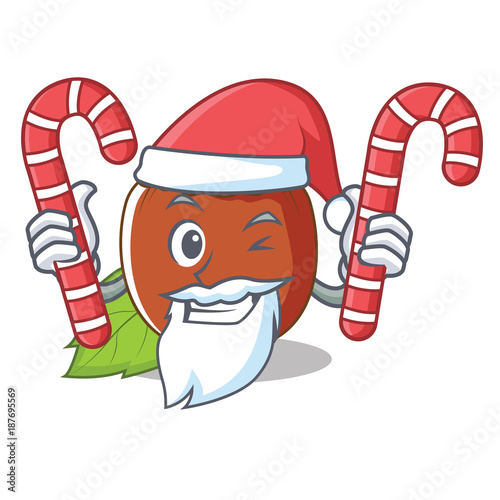 Santa with candy hazelnut mascot cartoon style