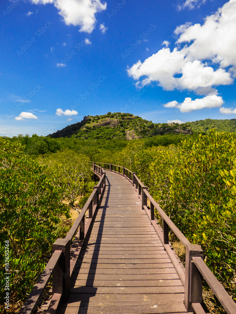 A view of the Mangrove Nature Trail walkway at Pran Buri National Forest Park - blue sky in the background (Hua Hin, Thailand)