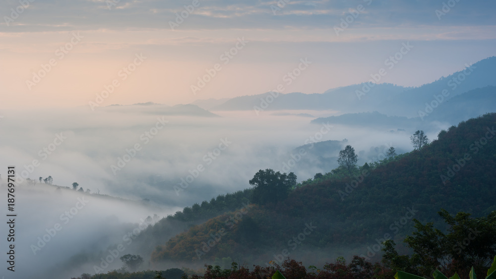 Mountain and mist