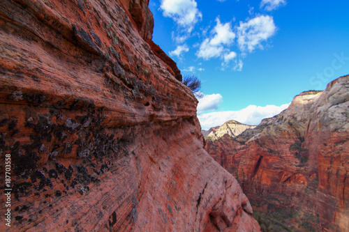 Angels Landing in Zion