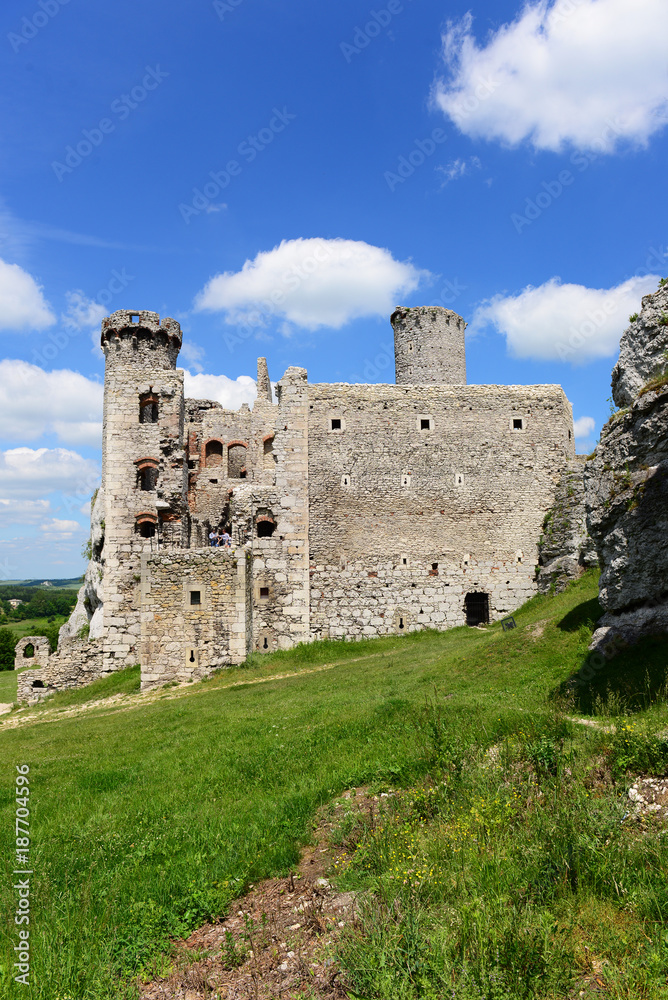 Ogrodzieniec castle in Poland