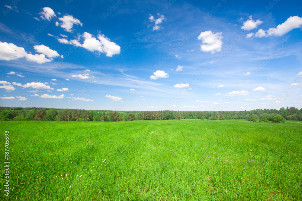 Green field under blue cloudy sky Green field under blue cloudy sky