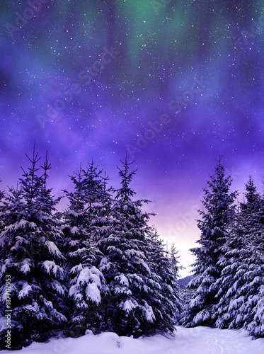 Snowy trees in winter landscape at the night sky with aurora borealis.