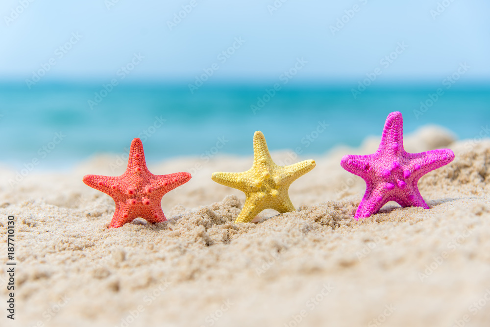Colourful Starfish on the beach background blue sky. Summer Concept Colourful Starfish on the beach background blue sky. Summer Concept