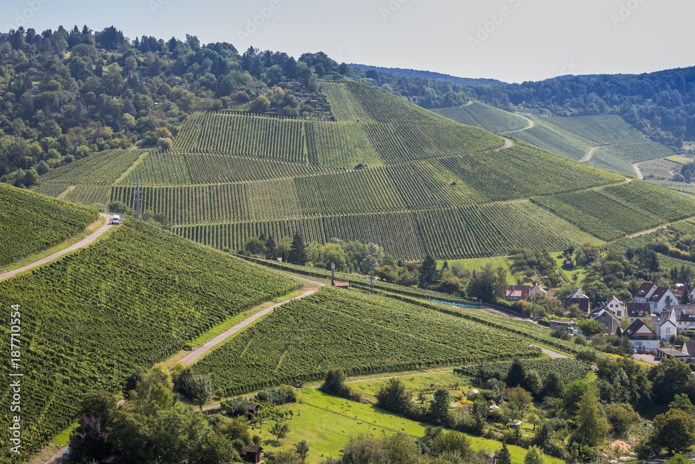 Weinberg