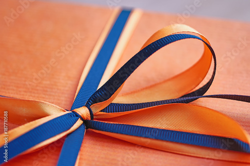 A beautiful bow of blue