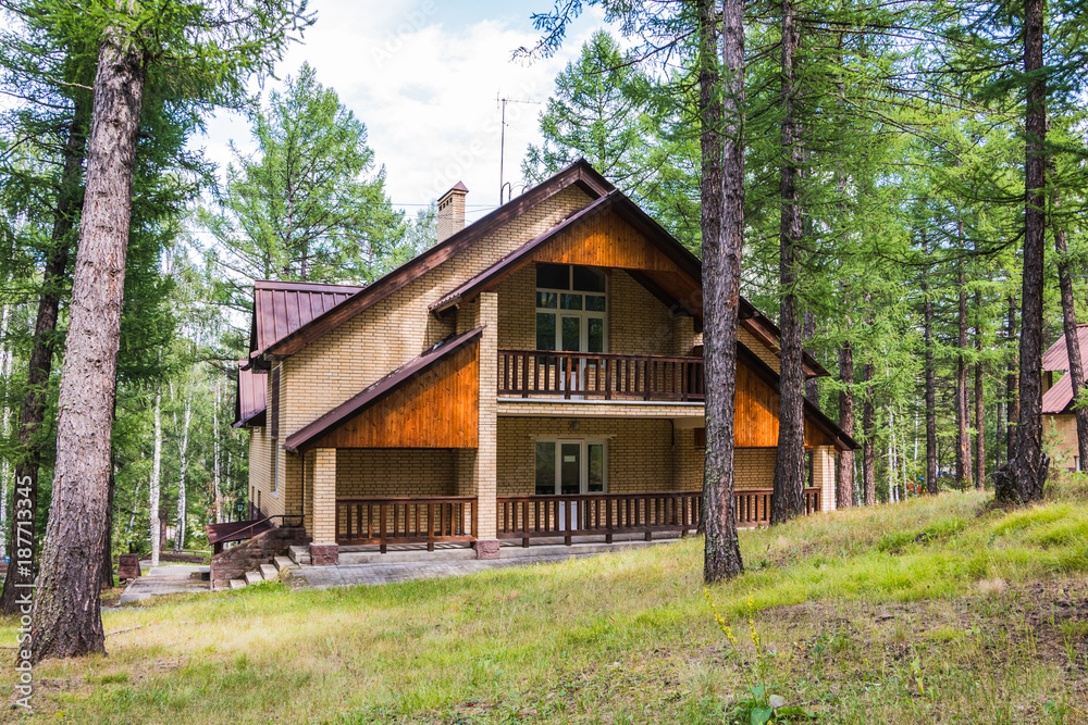 Forest and small house in it in summer