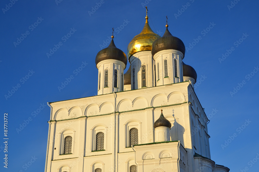 Свято-Троицкий кафедральный собор во Пскове, фрагмент