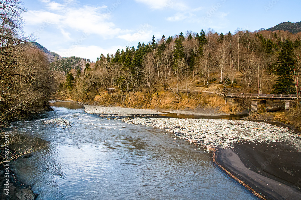 Landscape with mountain river and forest Landscape with mountain river and forest