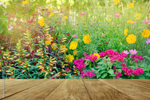 Empty top wooden table on colorful flowers blooming in garden