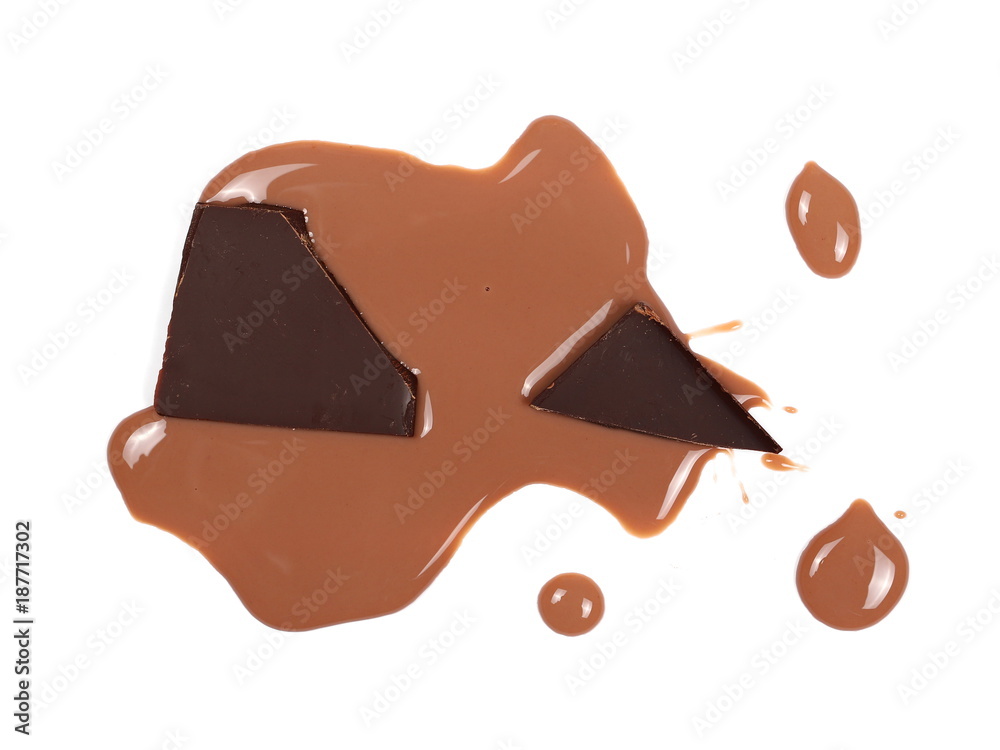 Spilled chocolate milk puddle and bars isolated on white, top view
Spilled chocolate milk puddle and bars isolated on white, top view