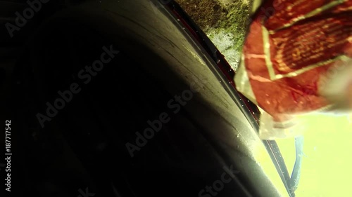 Car rolling down hill