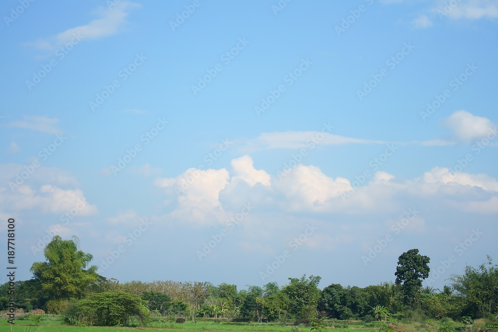 fields and trees on sky background