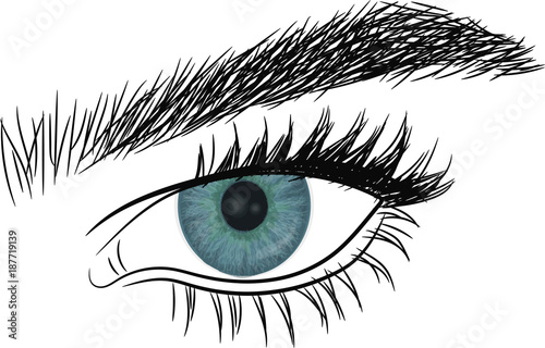 Beautiful female eye.  Blue Eye