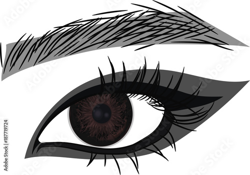 Beautiful female eye sketch. Dark Brown Eye