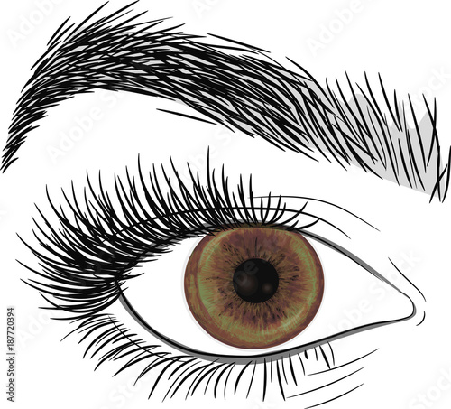 Light Brown Eye . Beautiful eye