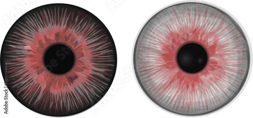 Collection of decorative eye iris. Halloween vector set